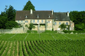 Dijon, Gevrey-Chambertin 01 © Office de Tourisme de Dijon - Atelier Démoulin